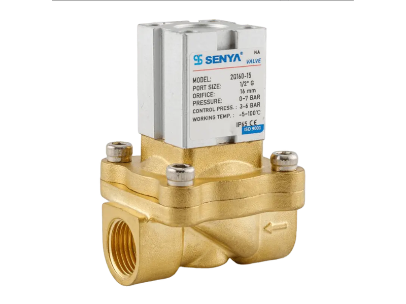 2Q200-20 – Van góc khí nén 2/2 thường đóng, thân inox
