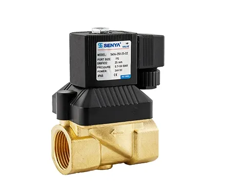 2W040-10-D2-D – Van điện từ 2/2 thường đóng, tác động trực tiếp, thân đồng