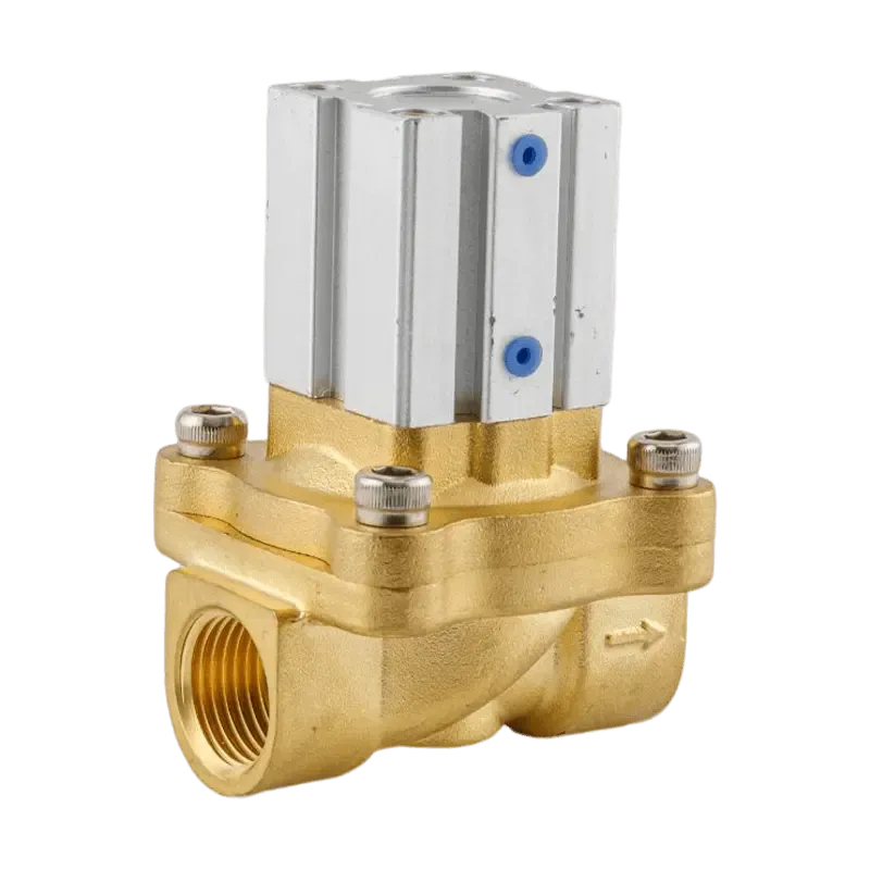 2Q200-20 – Van góc khí nén 2/2 thường đóng, thân inox